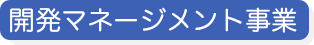 開発マネージメント事業